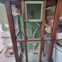 gabbia per uccellini