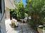Immagine 17