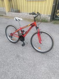 mtb ruote da 24