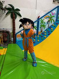 Costumi e Mascotte per Animazione. Vari Modelli