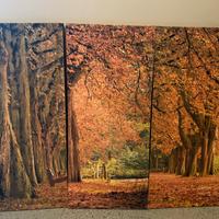 Trittico stampa paesaggio alberi autunnale