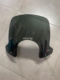 Parabrezza vespa 300