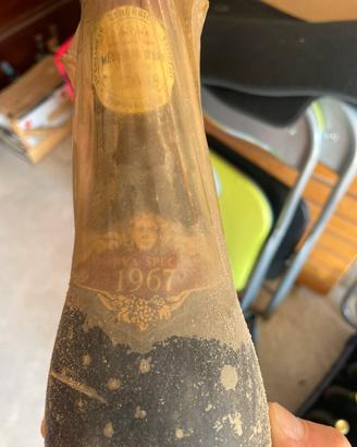 Vino Barolo Anforio 1967