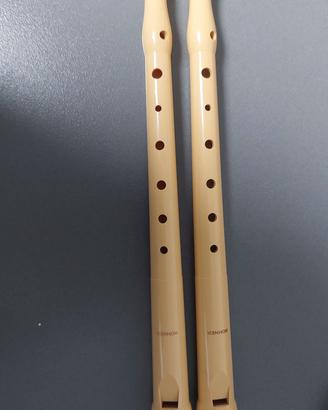 Flaut marca hohner