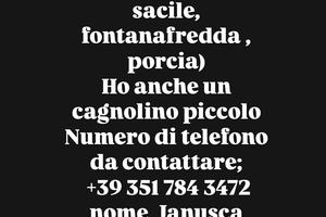 Stanza zona Pordenone