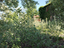 Immagine 24