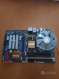 Scheda madre  ASUS PSQ SE PLUS