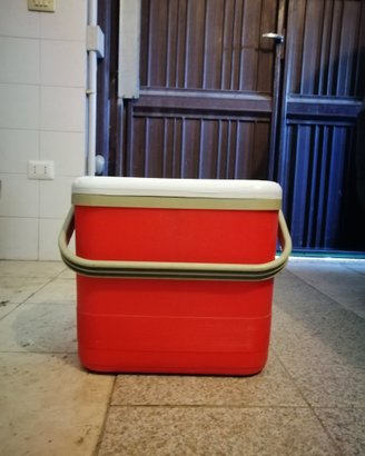 Frigorifero portatile