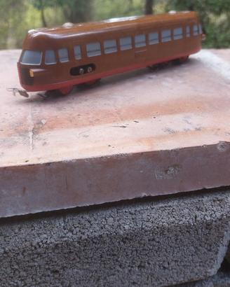 Littorina rivarossi an1