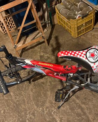 Bici bimbo ‘20