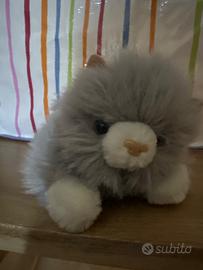Gattino peluche grigio chiaro