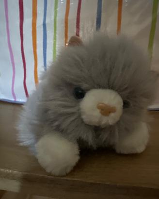 Gattino peluche grigio chiaro