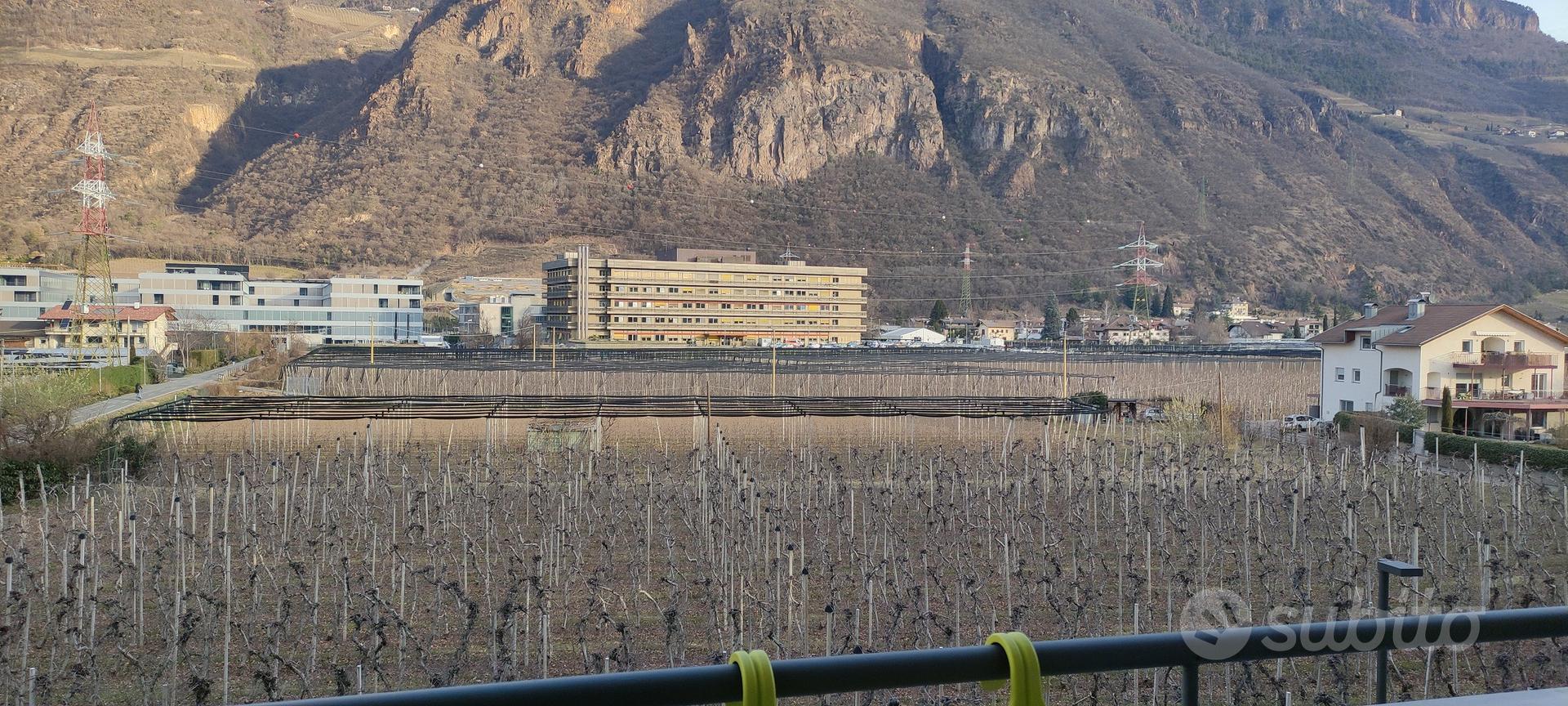 Appartamento – Bolzano - Bozen, Centro Storico - Altstadt, Centro-Piani-Rencio - Zentrum-Bozner Boden-Rentsch - Vista 3