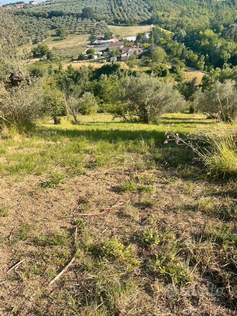 terreno 2 ettari Loreto Aprutino zona Colle Palma - Vista 2
