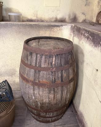 Botte in legno Ingham