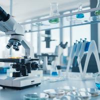 Impiegata/analista laboratorio/magazziniere