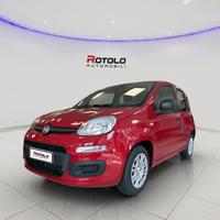 FIAT Panda 3ª serie Panda 1.0 FireFly S&S Hybr...