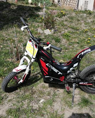 Oset 16