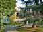 Immagine 12