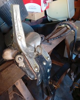 Finimenti cavallo