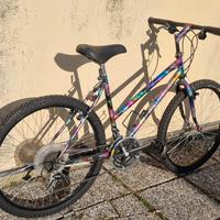 bicicletta mountain bike