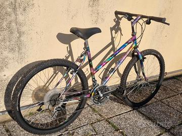 bicicletta mountain bike