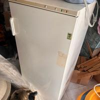 Congelatore a colonna REX