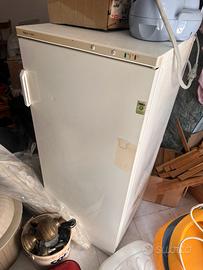 Congelatore a colonna REX