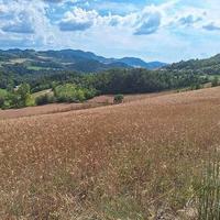 RGE 279/2023 Trib Pavia - LOTTO 6