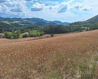 RGE 279/2023 Trib Pavia - LOTTO 6