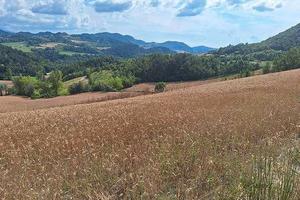 RGE 279/2023 Trib Pavia - LOTTO 6