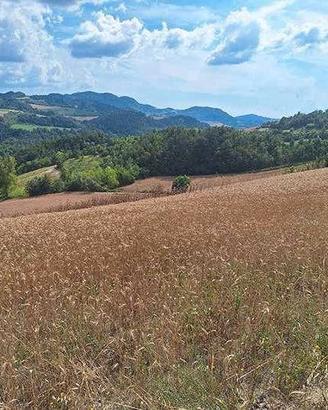 RGE 279/2023 Trib Pavia - LOTTO 6