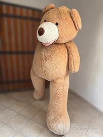 Peluche