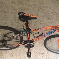 Smp Sempione Mud 24 mountain bike 