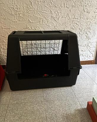 Kennel