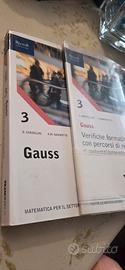 Gauss 9788823361331