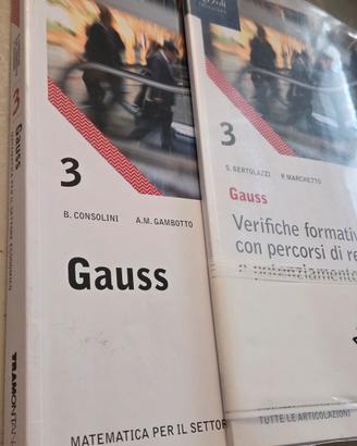 Gauss 9788823361331
