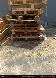 Pedane legno