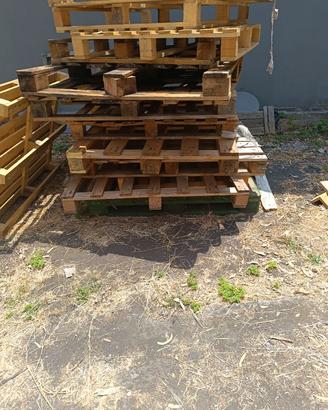 Pedane legno