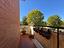 Immagine 26