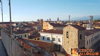 Camera singola zona Lungarno Mediceo