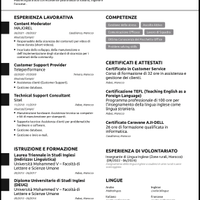 Customer Support Provider / Check in agent