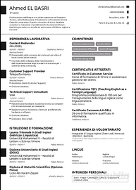 Customer Support Provider / Check in agent