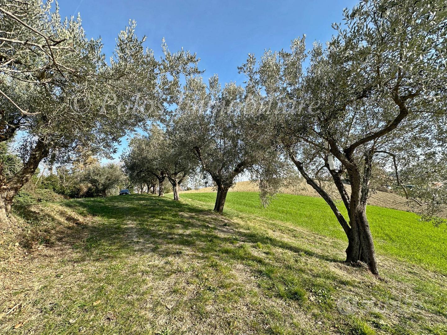 Casa colonica - Monte Giberto - Vista 3