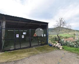 BOX A AGROPOLI