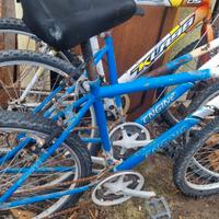 Pacchetto 3 Bici Mountain Bike 