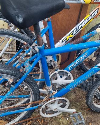 Pacchetto 3 Bici Mountain Bike 