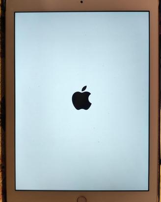 Apple iPad 9.7 - 5th Gen
