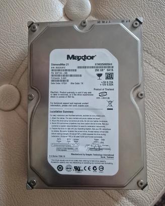 Maxtor DiamondMax 21 250gb SATA Hard Disk