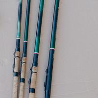 Canne da pesca bolognese Daiwa amourphous vintage 
